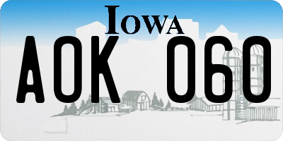 IA license plate AOK060