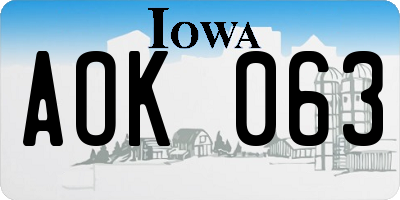 IA license plate AOK063
