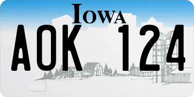 IA license plate AOK124