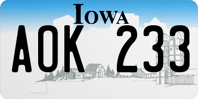 IA license plate AOK233