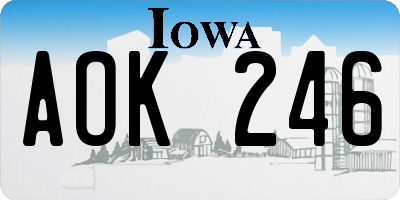 IA license plate AOK246