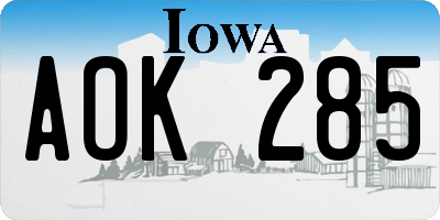 IA license plate AOK285
