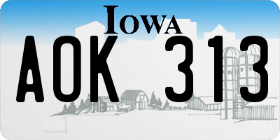 IA license plate AOK313