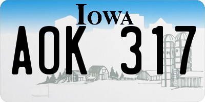 IA license plate AOK317