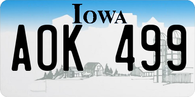 IA license plate AOK499