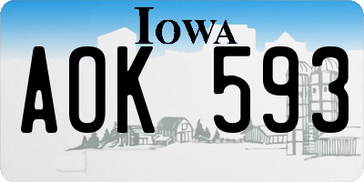 IA license plate AOK593
