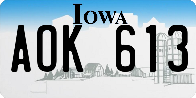 IA license plate AOK613