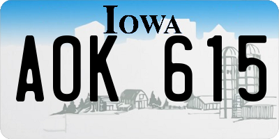 IA license plate AOK615