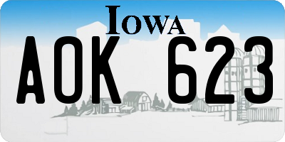 IA license plate AOK623