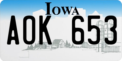 IA license plate AOK653