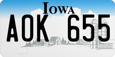 IA license plate AOK655
