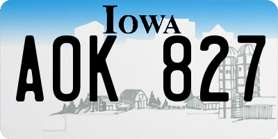 IA license plate AOK827