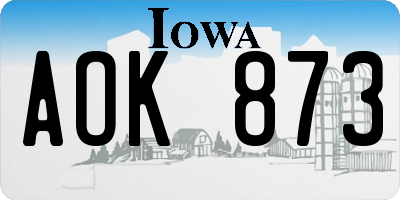 IA license plate AOK873