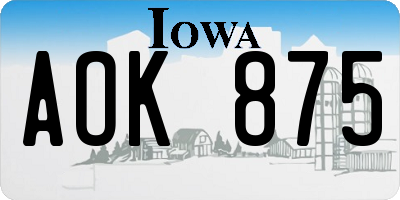 IA license plate AOK875