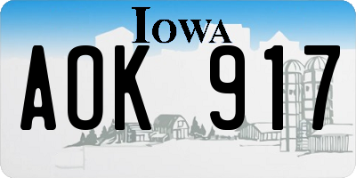 IA license plate AOK917
