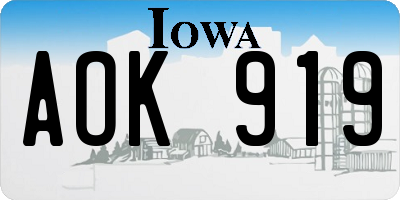 IA license plate AOK919