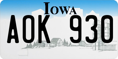 IA license plate AOK930