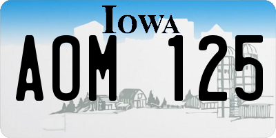 IA license plate AOM125