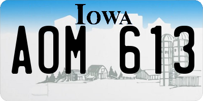 IA license plate AOM613