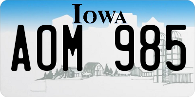 IA license plate AOM985
