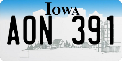 IA license plate AON391
