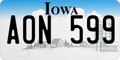 IA license plate AON599