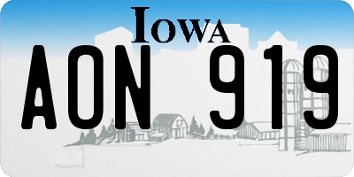 IA license plate AON919