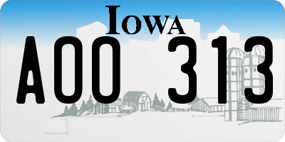 IA license plate AOO313