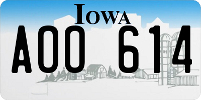 IA license plate AOO614