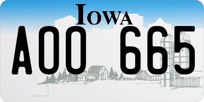 IA license plate AOO665