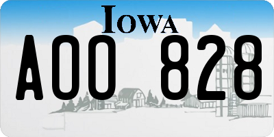 IA license plate AOO828