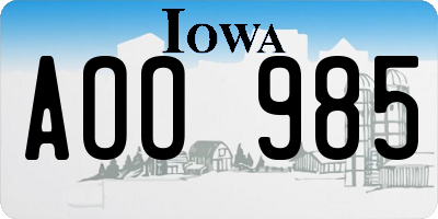 IA license plate AOO985