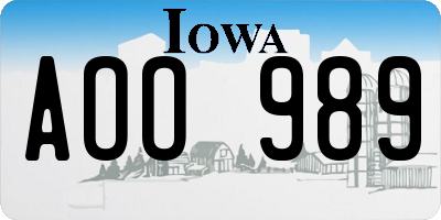 IA license plate AOO989