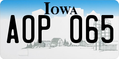 IA license plate AOP065