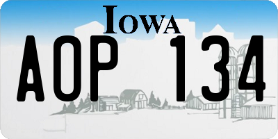 IA license plate AOP134