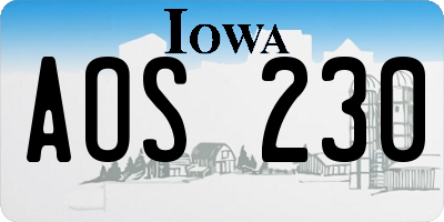 IA license plate AOS230