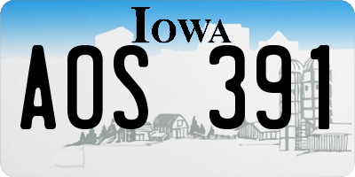 IA license plate AOS391