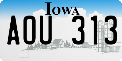 IA license plate AOU313