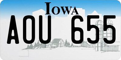 IA license plate AOU655