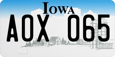 IA license plate AOX065