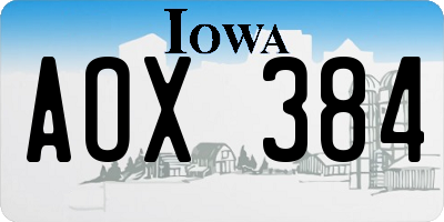 IA license plate AOX384