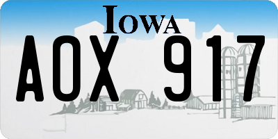 IA license plate AOX917