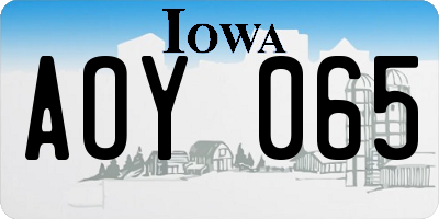 IA license plate AOY065