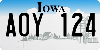 IA license plate AOY124