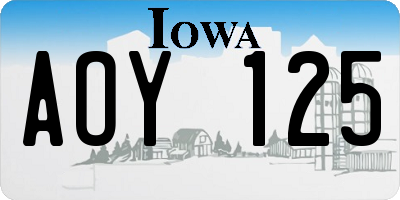 IA license plate AOY125