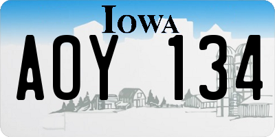 IA license plate AOY134