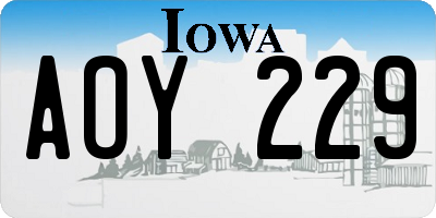 IA license plate AOY229