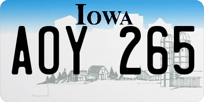 IA license plate AOY265