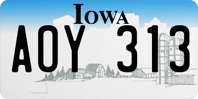 IA license plate AOY313