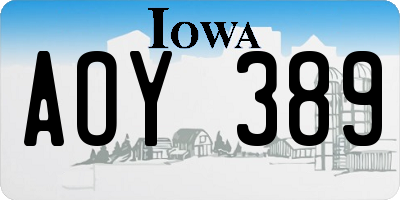 IA license plate AOY389